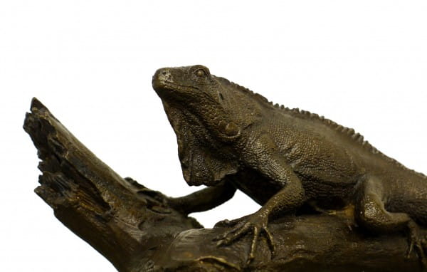 Iguana on a Branch - Modern Animal Sculpture - signed Milo