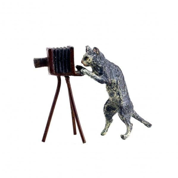 Vienna Bronze - Cat With Camera - Stamped - Hand-Painted